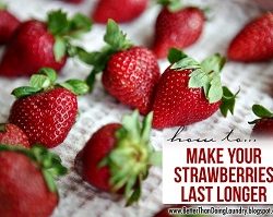Making your Berries Last